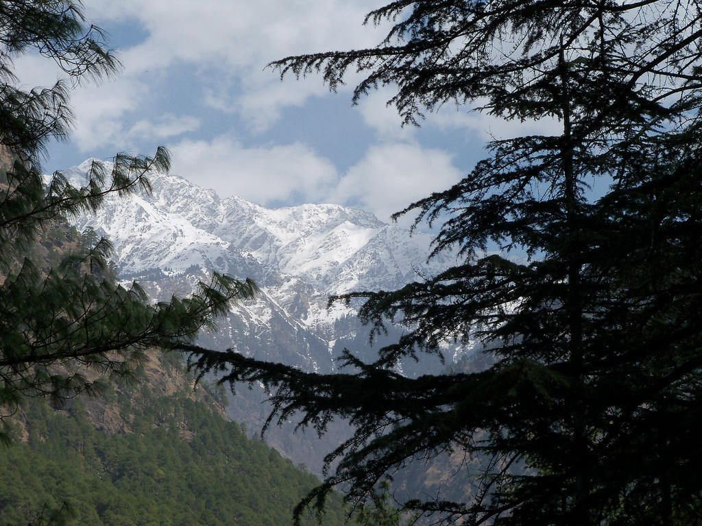 Parvati Kuteer Riverside Resort Kasol Exteriér fotografie