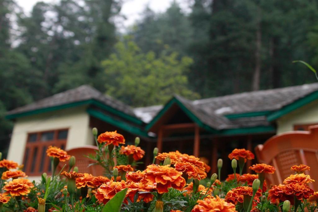Parvati Kuteer Riverside Resort Kasol Exteriér fotografie