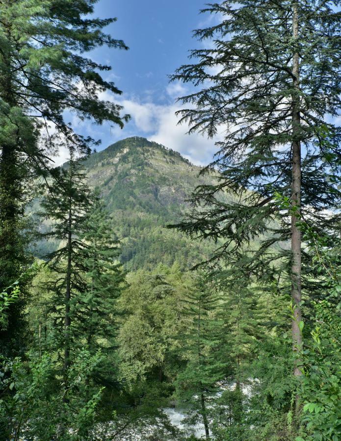 Parvati Kuteer Riverside Resort Kasol Exteriér fotografie